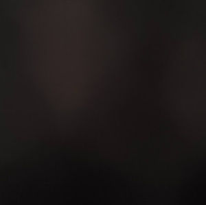 Meet your Posher, Joey